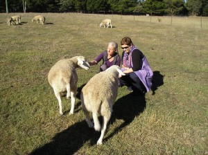 Sheep with Tracey and Jyoti
