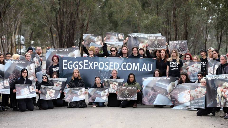 Eggs Exposed Outreach – 12 May 2017