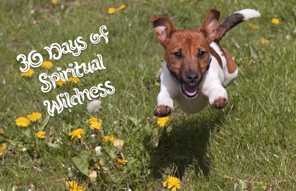 30 Days of Spiritual Wildness (All proceeds to A Place of Peace Sanctuary)