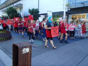 March to Close All Slaughterhouses – 11 March 2017