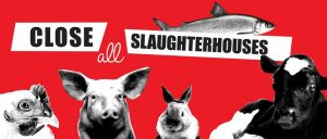 March to Close All Slaughterhouses – 19 June 2021